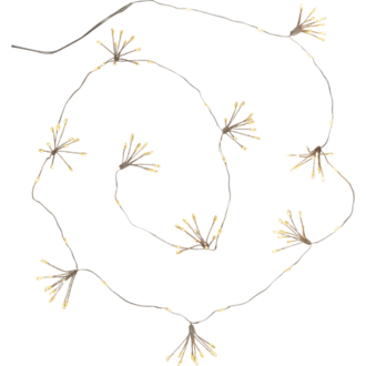Ljusslinga Flower