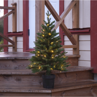 Julgran med LED Byske