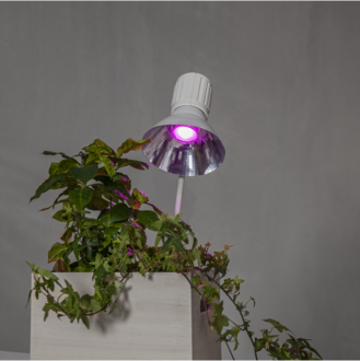 LED-lampa GU10 MR16 Plant Light