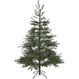 Julgran Hede