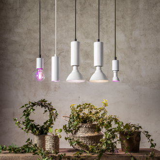 LED-lampa E14 PAR16 Plant Light