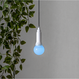 Ljusslinga Lighty