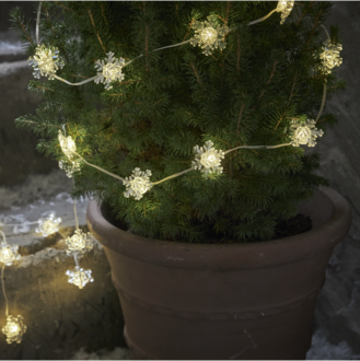 Ljusslinga Snowstar