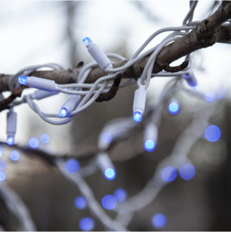 Startkabel System LED