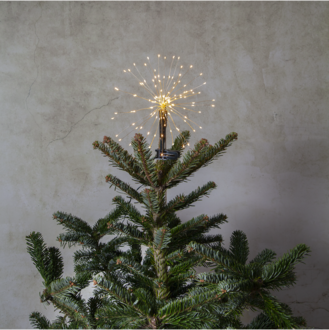 Toppstjärna Firework® TopStar