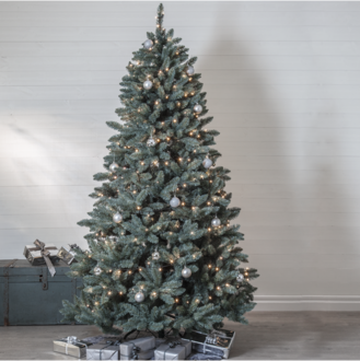 Julgran Royal Blue