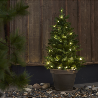 Julgran med LED Byske
