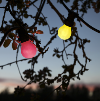 LED-lampa B22 A55 Outdoor Lighting