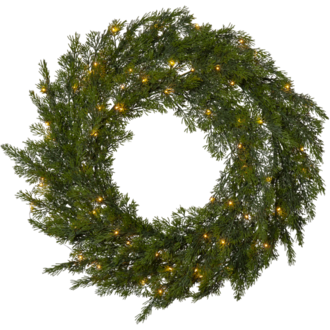 Krans Thuja