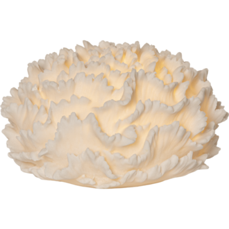 Utomhusdekoration Sandy