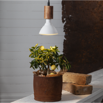 LED-lampa E27 PAR38 Plant Light