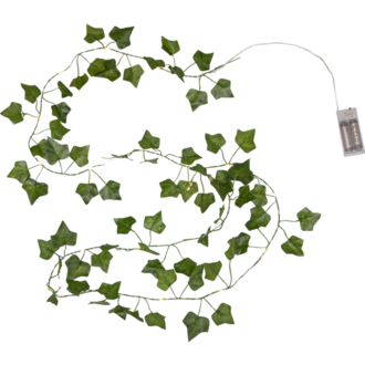 Ljusslinga Ivy
