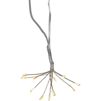 Ljusslinga Flower