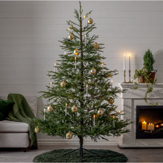 Julgran Hede