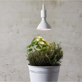 LED-lampa E27 PAR38 Plant Light