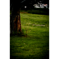 860-45-1_MB_002.png