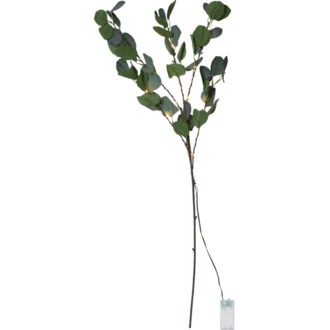 Dekorationskvist Eucalyptus