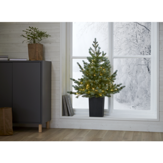 Julgran med LED Greyland