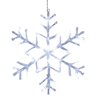 Snöflinga Antarctica