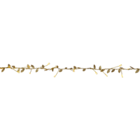 729-54_FL_002.png