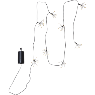 Ljusslinga Flower