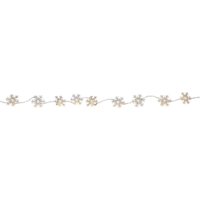 729-47_FL_001.png