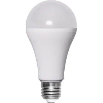 LED-lampa E27 A65 High Lumen