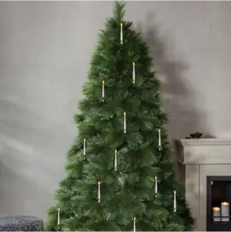 Julgran Cembra