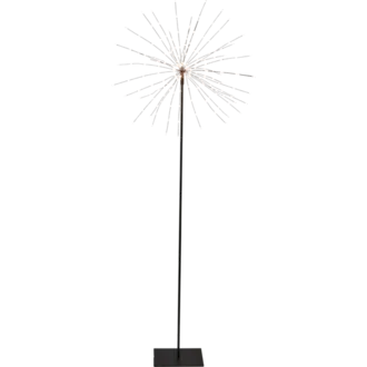 Stjärna på fot Firework®