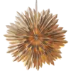 501-81-1_MN.png