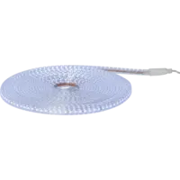 563-48_FL_001.png