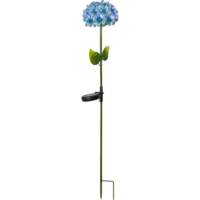 481-56_FL_001.png