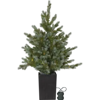 Julgran med LED Greyland