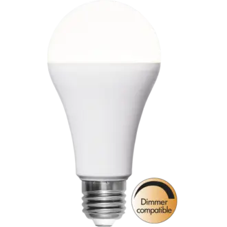 LED-lampa E27 A65 High Lumen