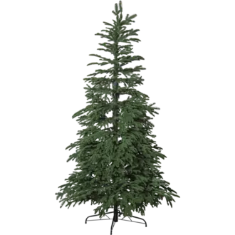 Julgran Edane