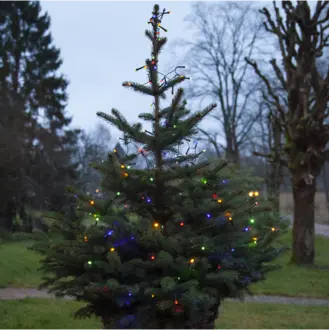 Ljusslinga Diamond Star Light