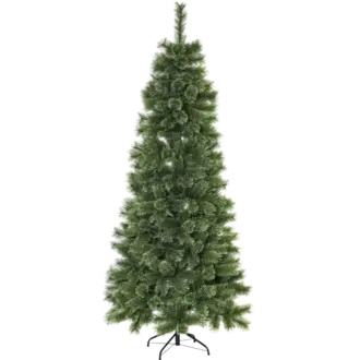 Julgran Cembrini