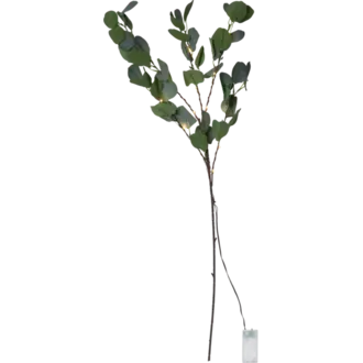 Dekorationskvist Eucalyptus