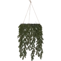 613-03_FL_003.png