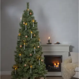 Julgran Cembrini