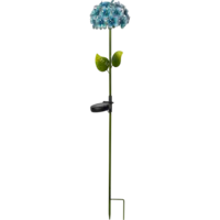 481-56_FL_002.png