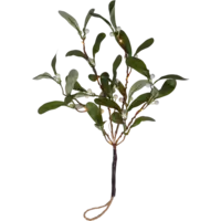 612-92-1_FL_001.png